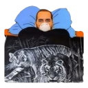 Memes virales con frio WhatsApp Stickers