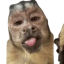 George Stickers for WhatsApp