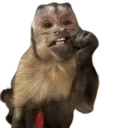 George WhatsApp Stickers