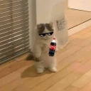 Gatos Cura depresion🙀❤️ WhatsApp Stickers