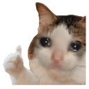 Memes sad WhatsApp Stickers