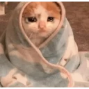 ✨Gatos cura depresión🐱❤️ WhatsApp Stickers