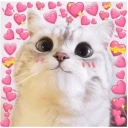 Cat love WhatsApp Stickers