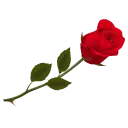 Red Roses WhatsApp Stickers