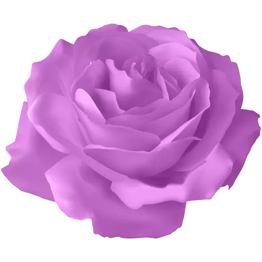 Purple Roses Stickers for WhatsApp
