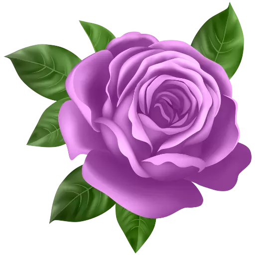 Purple Roses Stickers for WhatsApp